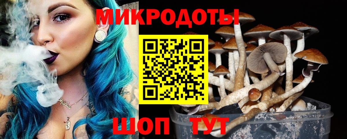 Псилоцибиновые грибы Cubensis Донецк
