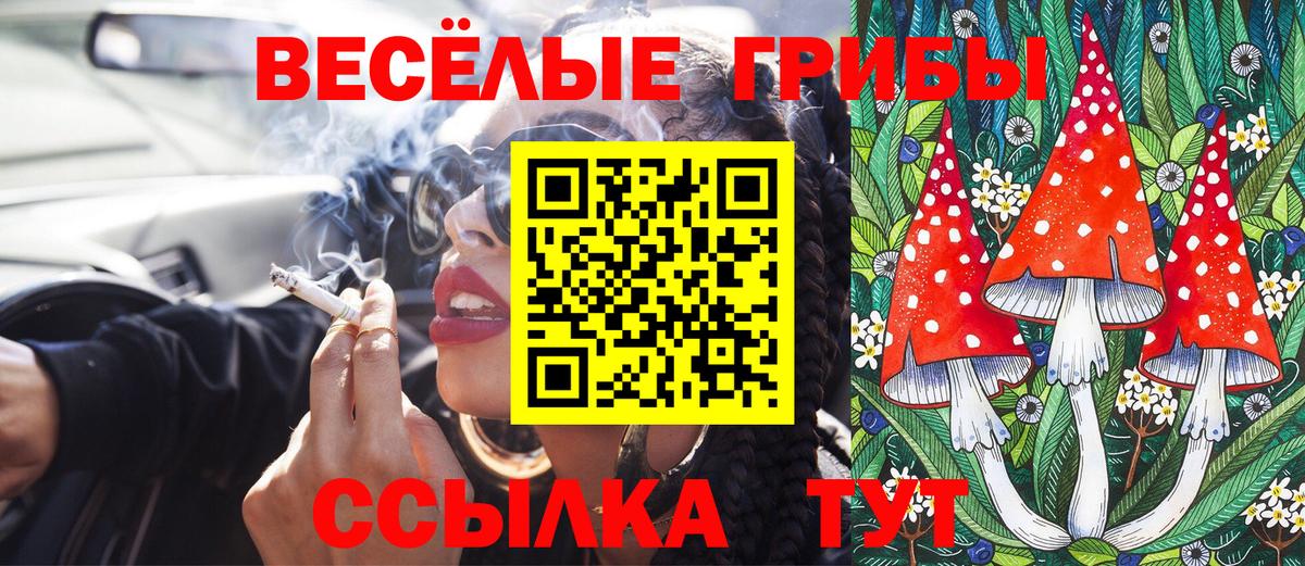 Донецк  Галлюциногенные грибы Psilocybine cubensis  Вход с VPN  Псилоцибиновые грибы ЛСД 